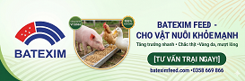 Batexim Feed Advertisement